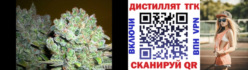 где найти наркотики  Облучье  Дистиллят ТГК вейп 