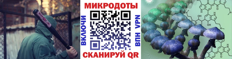 магазин    Облучье  Галлюциногенные грибы Psilocybe 
